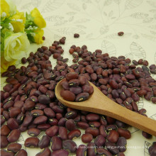 Chinese 2013 Crop High Quality Red cowpeas (frijoles de caupí rojos)